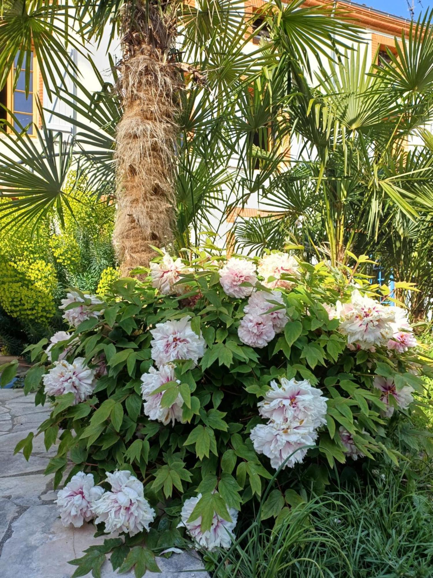 Hotel Le Relais De Lezat Esterno foto